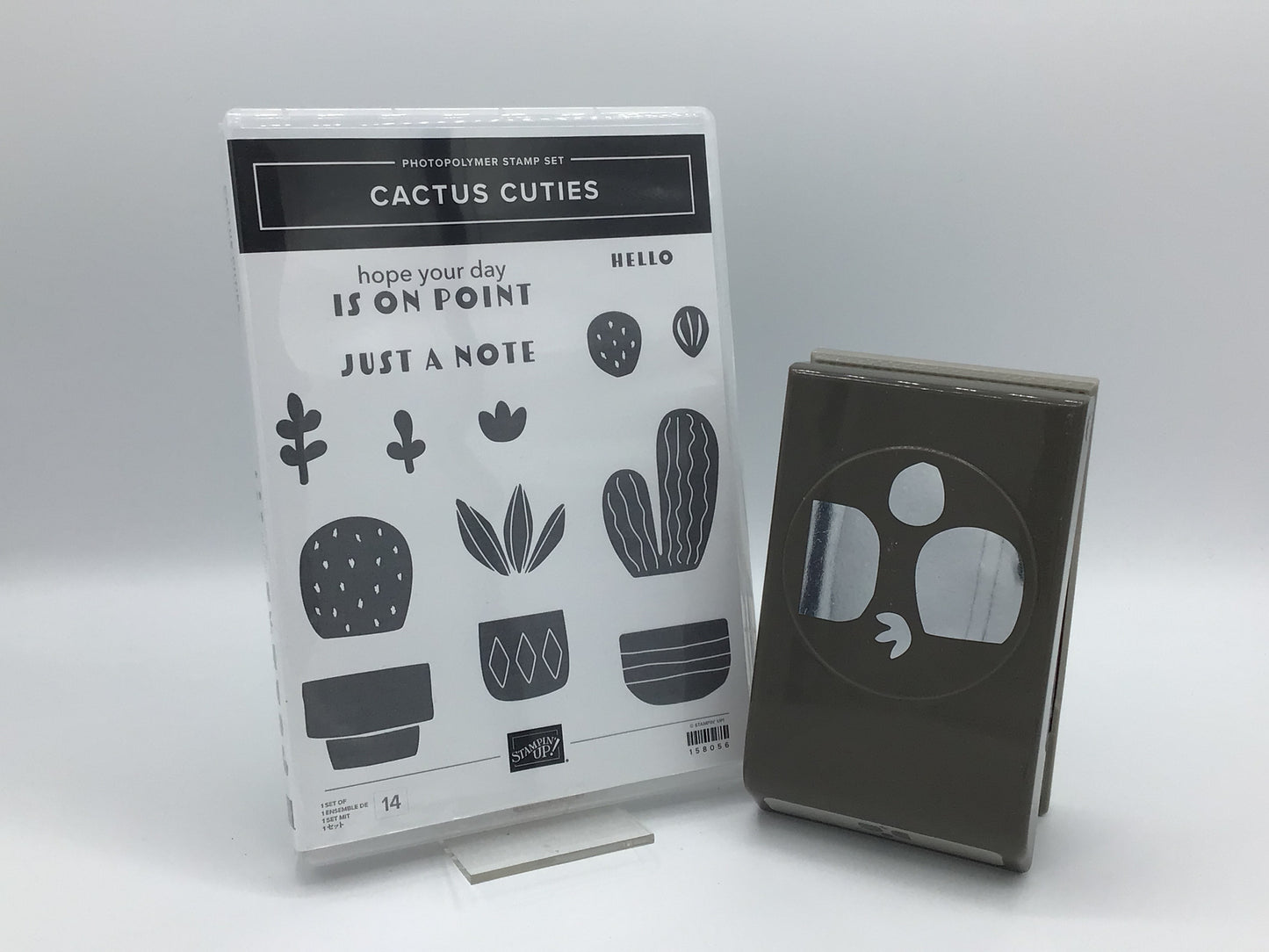 Cactus Cuties