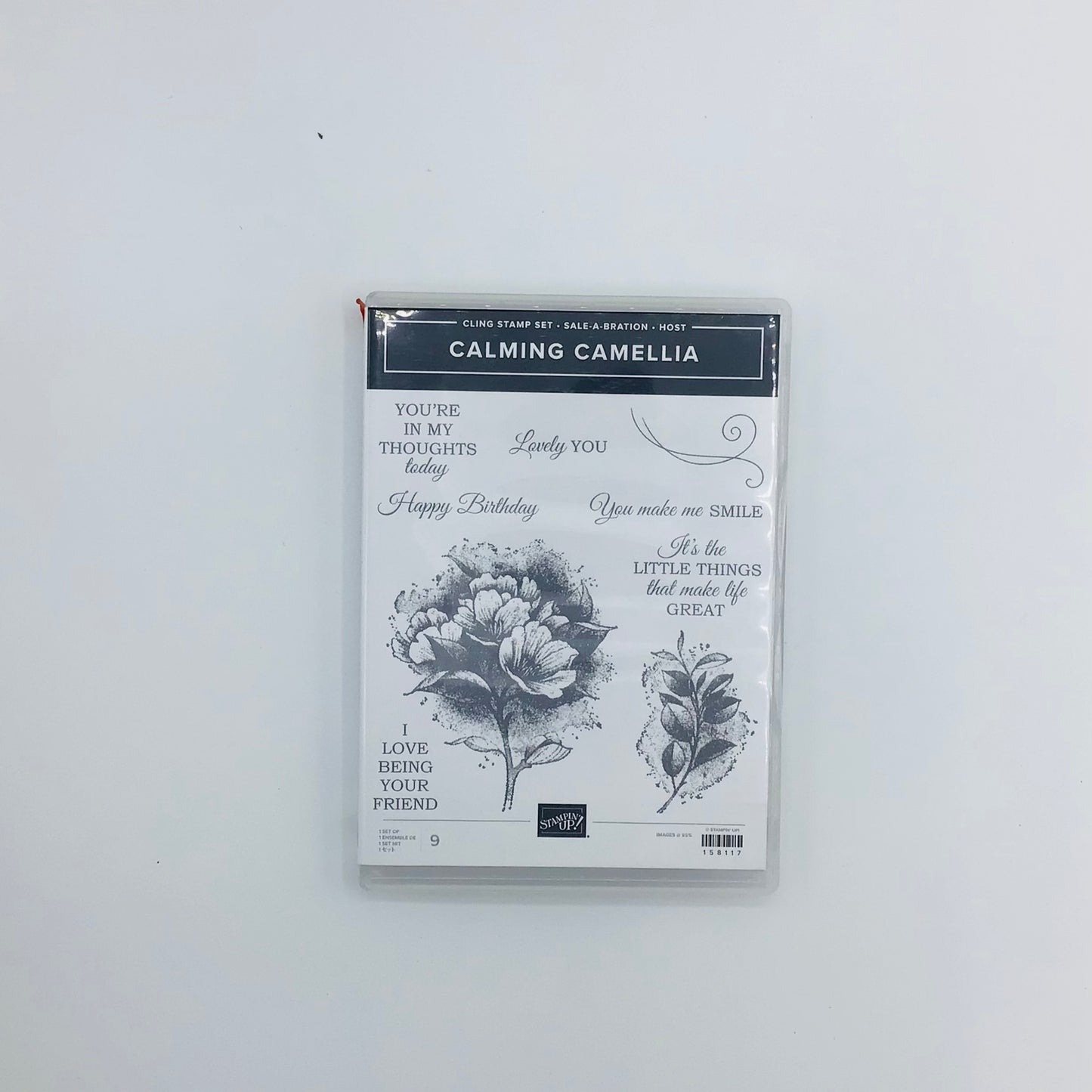 Calming Camellia
